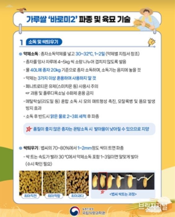 가루쌀 파종 및 육묘 관리 안내서