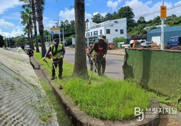 추석 맞이 녹지환경 집중 정비
