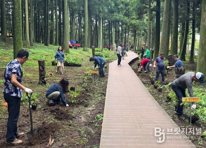 수국 식재 행사