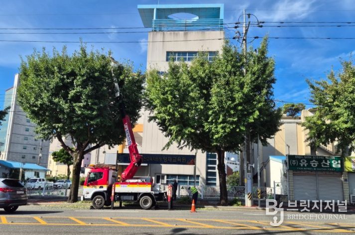 가로수 합동 전정 작업’으로 안전 강화