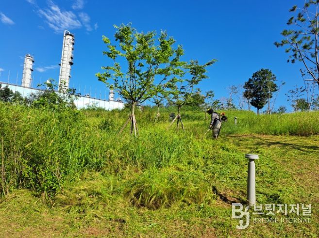 추석 연휴기간 공원, 등산로 환경정비 총력