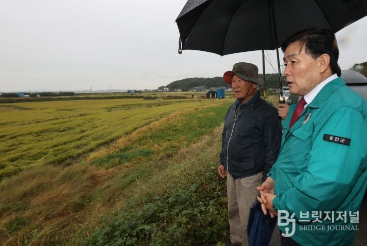 벼 도복 피해 현장 방문, 피해 최소화에 총력