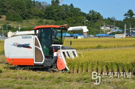 신안군, 벼 깨씨무늬병 확산 방지를 위한 적기수확 지도 강화!..