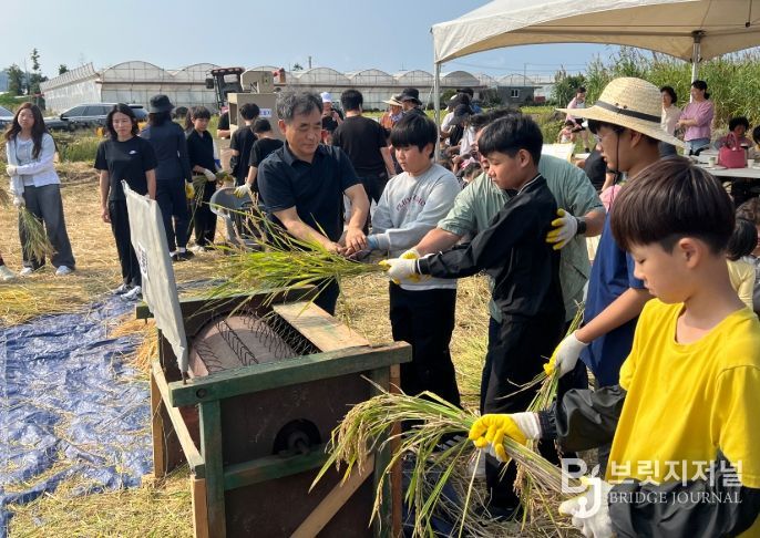 2025 신평 생태 마을 제주 논농사 가을걷이 축제