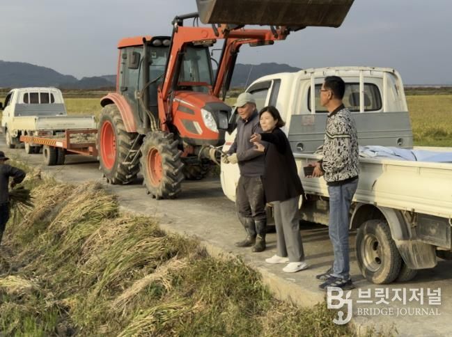 김은경 영인면장이 벼 수확 현장을 찾아 농민들을 격려하는 모습