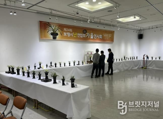 2024년 난 연합회 가을전시회 사진