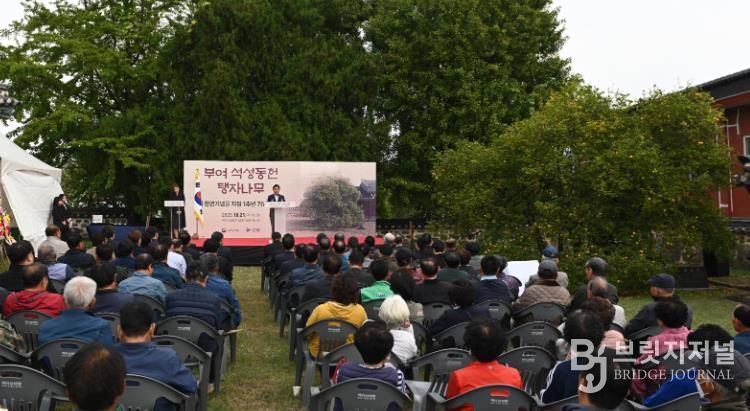 부여 석성동헌 탱자나무 천연기념물 지정 1주년 기념행사