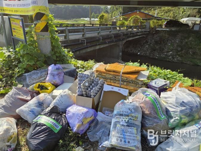쓰레기 불법투기 집중단속 현장