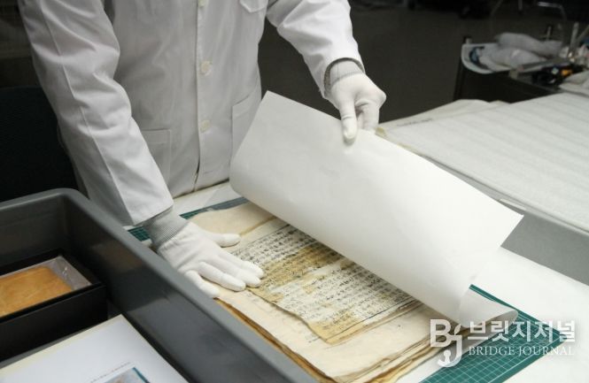 무료 훈증소독 사진 및 서비스