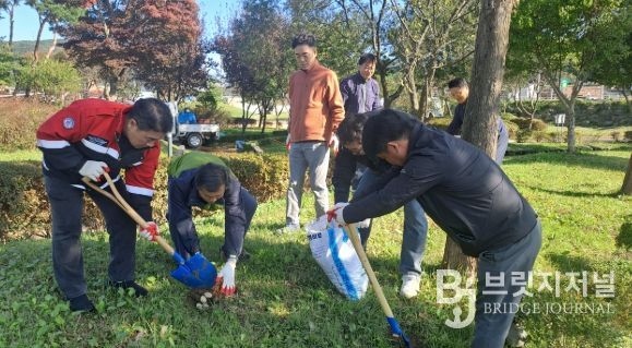 청양군, 건강한 숲 만들기 총력… 비료주기·잡초 제거·환경정비 병행