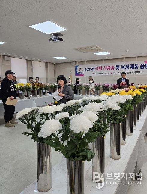 농기원, 국화 신품종 계통 품평회 개최