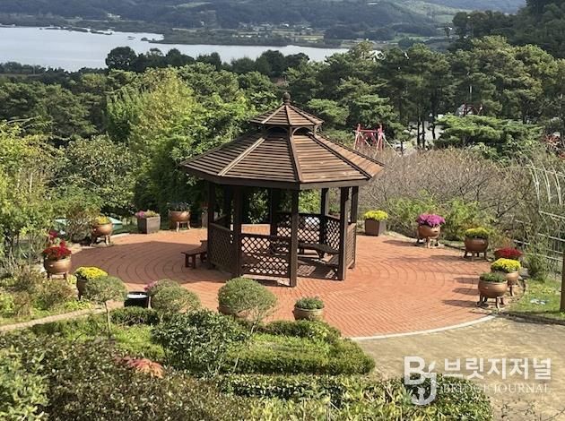 봉수산수목원 내 국화꽃 만개 모습