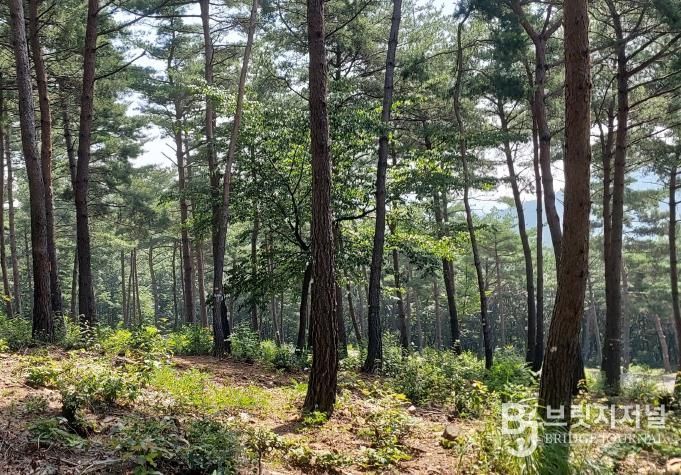 국립기억의숲 풍경