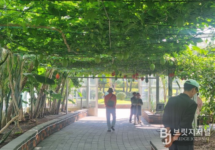 함평군 아열대농업관, 이색 체험으로 인기몰이!