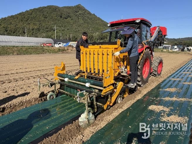 고흥군, 마늘 기계화로 마늘 주산지 명성 되찾기 나서
