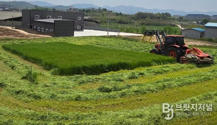 청주시, 조사료 전문단지 조성사업 첫 공모 선정