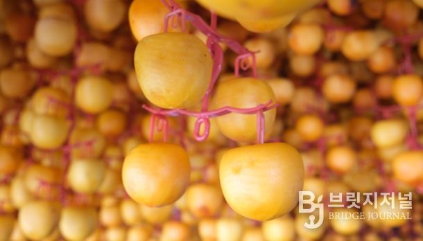 ‘영동곶감’ 만들기 본격 돌입