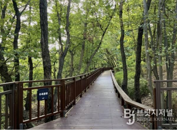 ‘서리풀공원 무장애숲길 연결로’ 조성