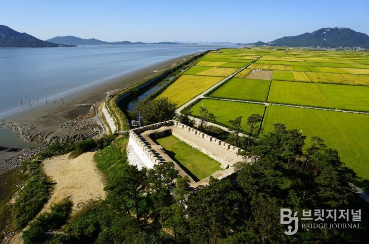 강화군, ‘서해 황금 들녘길’ 걷기 챌린지