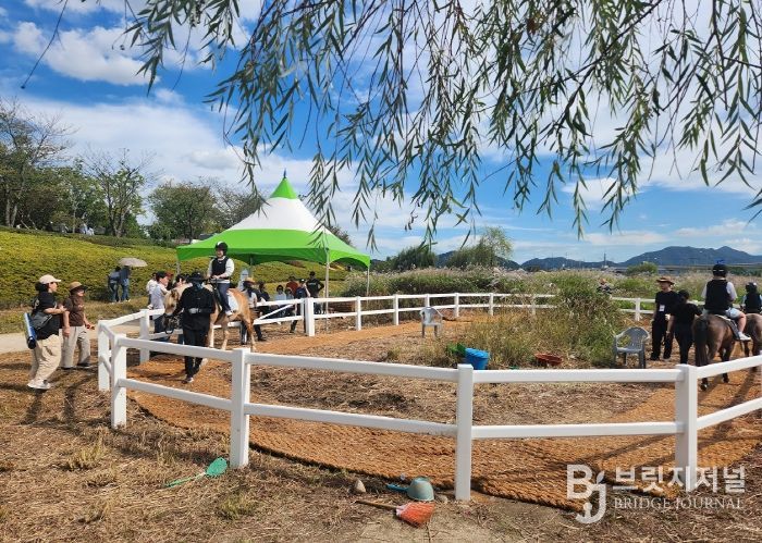 도심 속 힐링, 순천만국가정원에서 무료 승마체험 실시