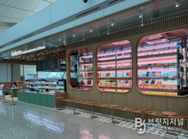 인천공항 T1 면세구역 내 입점 수직농장