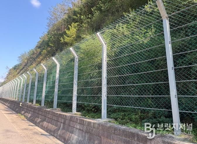 산청군,  풀베기·덩굴제거 사업 마무리