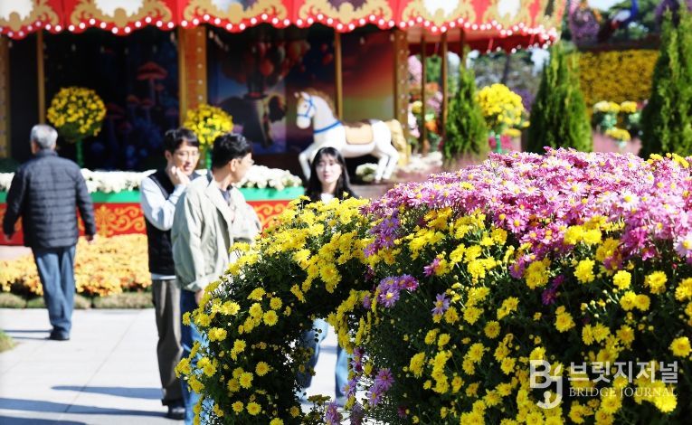 2025 대한민국 국향대전 회전목마 포토존, 국화 만개 전경
