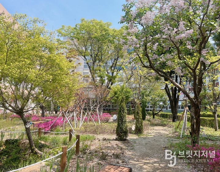 경북여고 학교숲