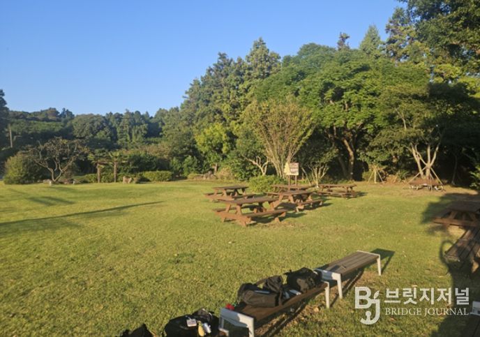 안덕초등학교 학교숲