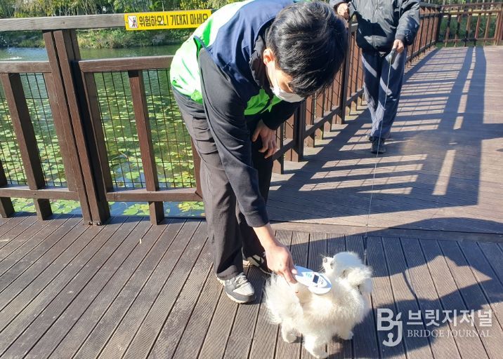 미등록 반려동물 단속