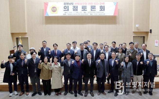 충청남도 프로야구장 건립 방안 모색