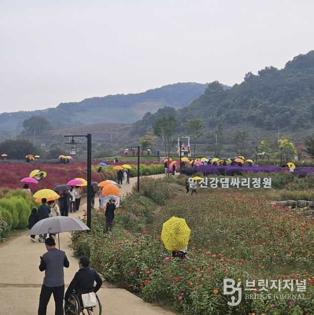 연천군 중면 임진강 댑싸리정원 지역 관광명소로 우뚝!