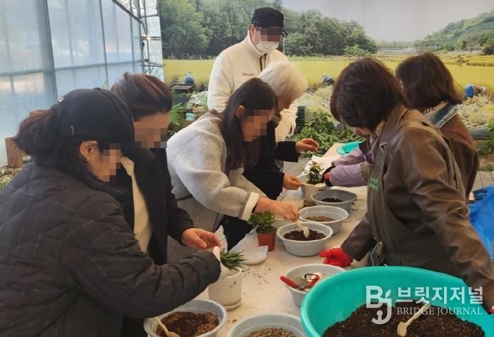 의정부시, ‘반려식물(다육이) 나눔행사’ 시민 호응 속 종료