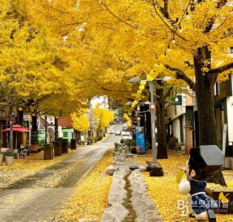 가을감성 가득한 ‘은행나무아래로’ 축제 개막