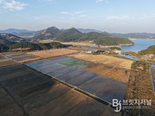 2026년 도화 구암 소규모 배수개선사업 15억 원 확보