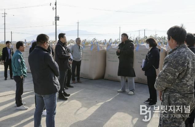 영암군, 10일부터 2025년산 공공비축미곡 매입