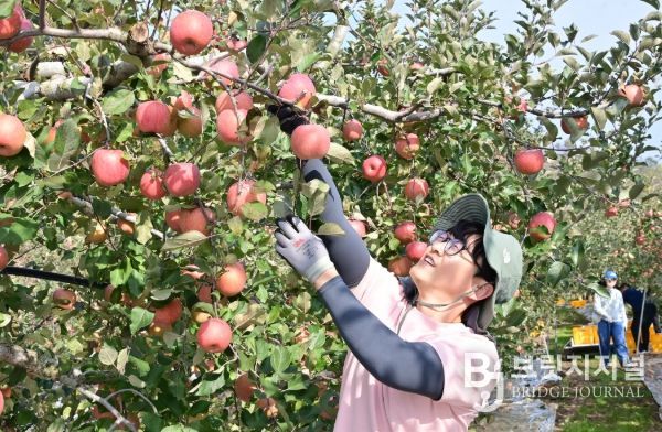 청송군, 가을철 농촌일손돕기 추진