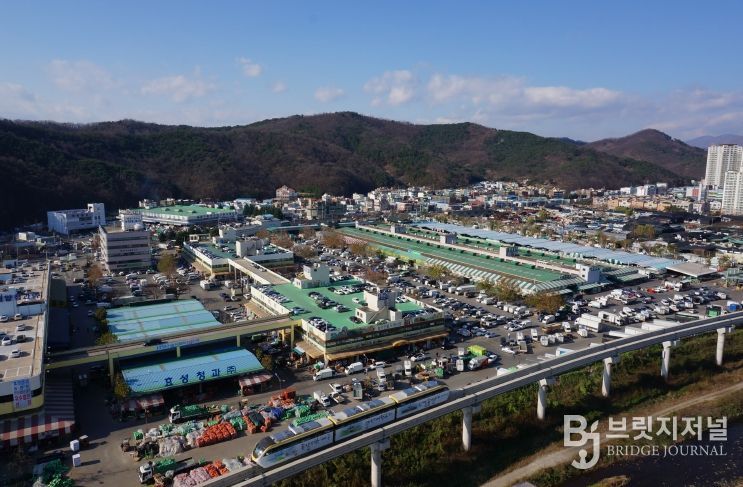 대구농수산물도매시장