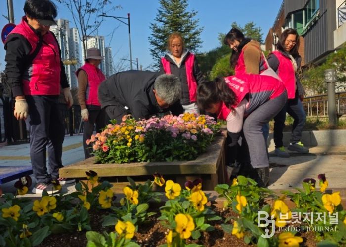화성특례시 동탄3동 주민들이 청사 및 도로변에 비올라를 식재하고 있다