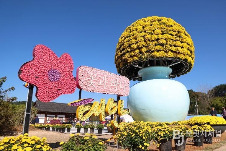 11월 3일 태안 국화축제 모습.