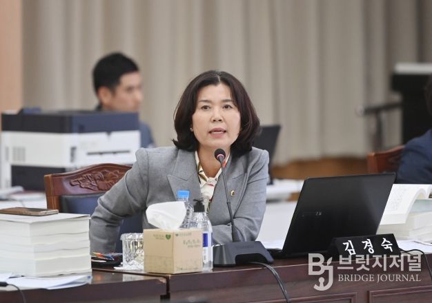 김경숙 의원(더불어민주당)