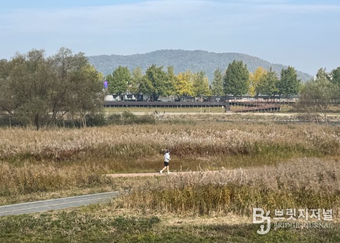 ‘가을의 도시’ 아산서 은빛 억새·황금 단풍 즐겨요