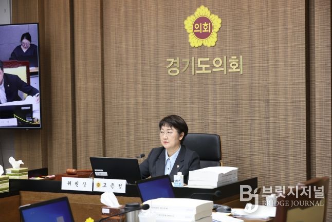 고은정 위원장(더불어민주당, 고양10)