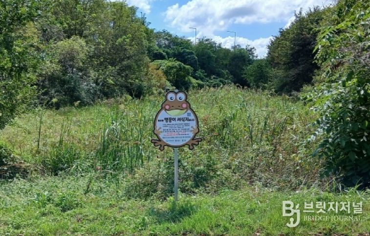 하기동에 설치된 맹꽁이 서식지 표지판