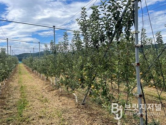 순천시, 농업인과 함께 과수 신기술 벤치마킹 추진