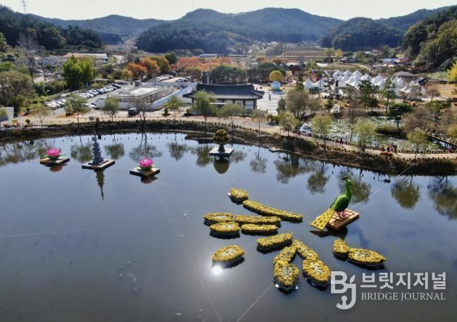 ‘2025 태안 국화축제’ 모습.