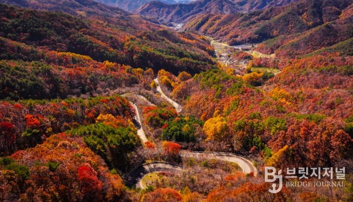 영동의 대표 관광명소 ‘도마령’