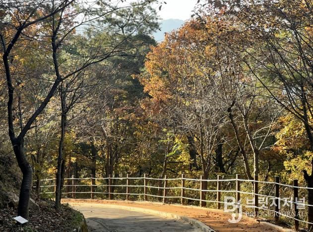 상주시, 가을빛에 물든 성주봉자연휴양림