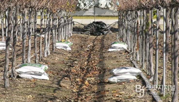 남원시, 2026년 유기질비료 지원사업 신청접수 실시