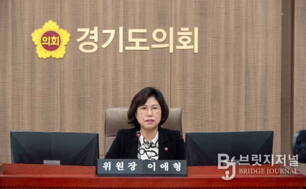 경기도의회 이애형 의원